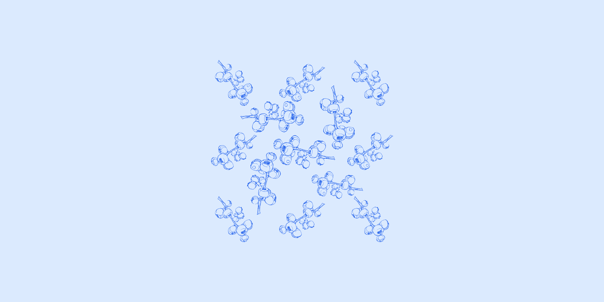 Molecular structures of bioactive compounds in functional foods — stability, bioavailability, and AI-assisted formulation